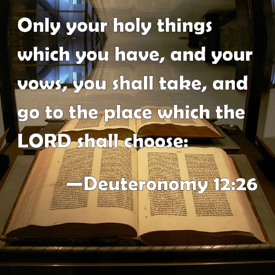 Deuteronomy 1226 Only your holy things which you have, and your vows